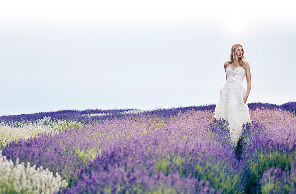 woman standing in a lavender flower meadow wearing the Atelier Pronovias Capucine strapless princess gown embellished with organza and beaded flowers