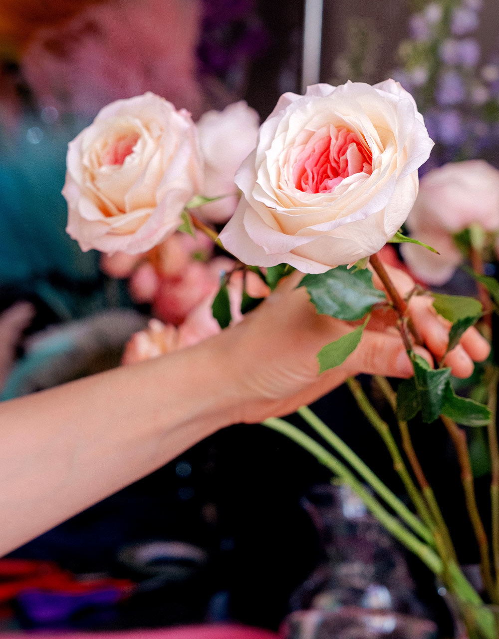 cropped view of a hand placing a pink rose in a flower arrangement