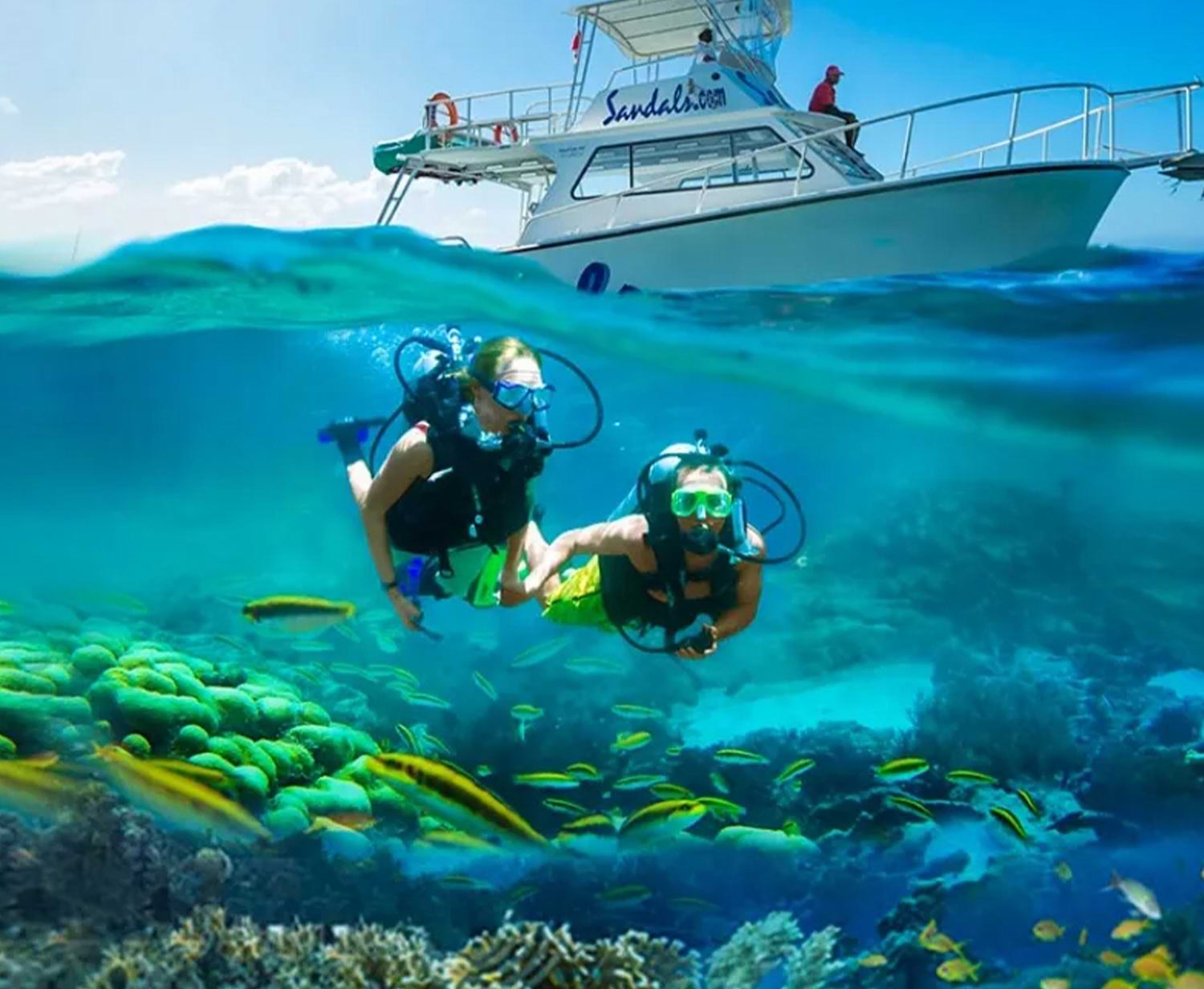 two people scuba dive among yellow fish as a boat floats in the background