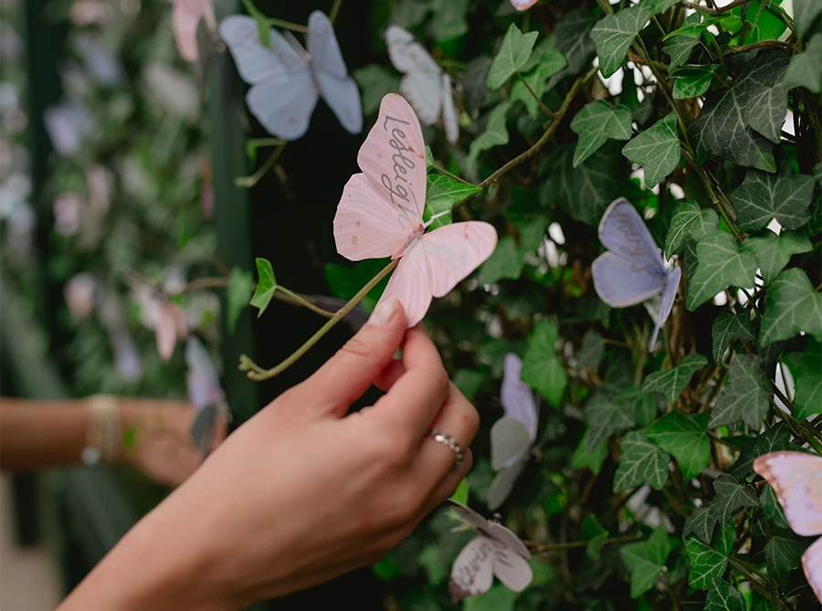 closeup of hand placing purple butterfly decorations on a bush
