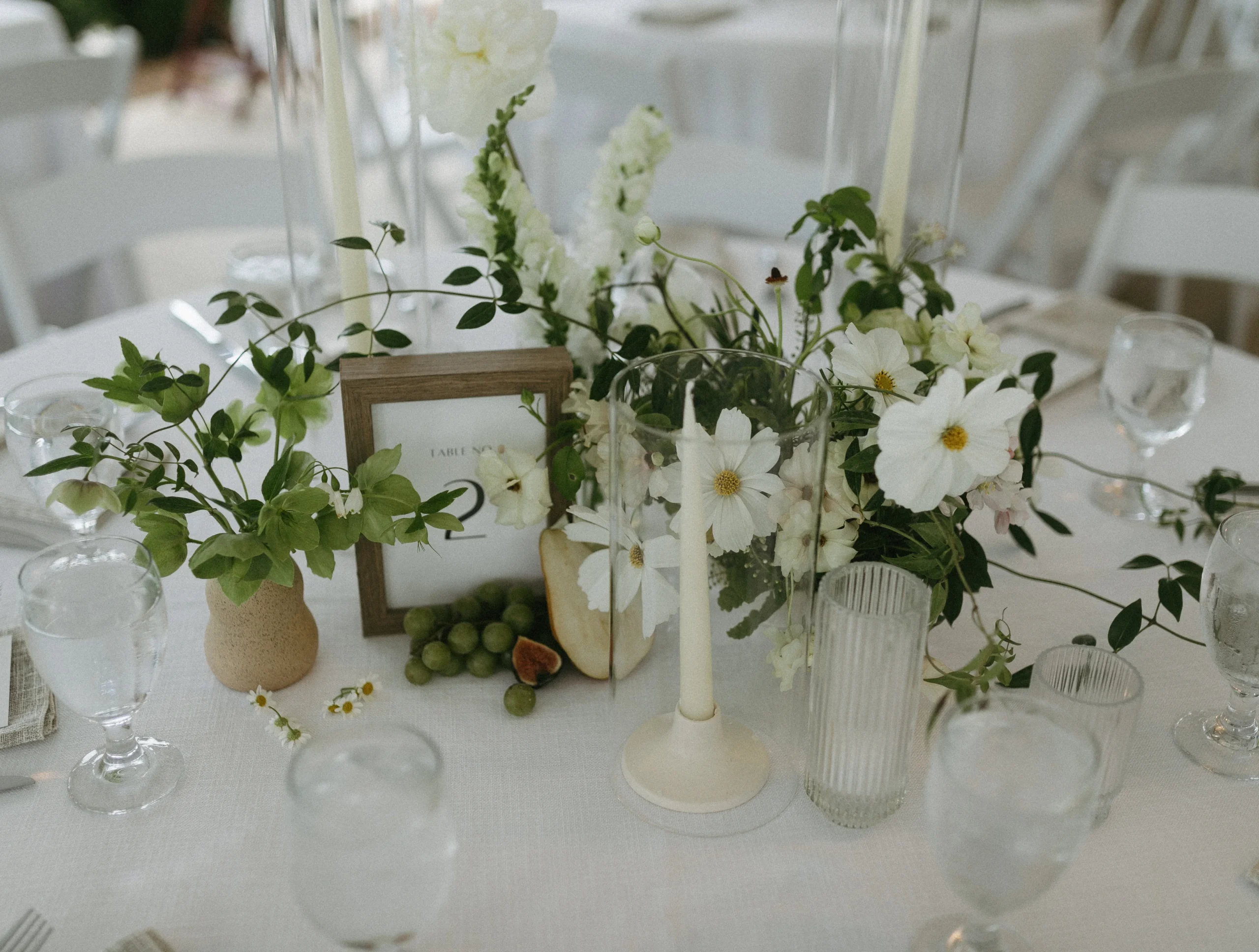 table set up with various green and white plants