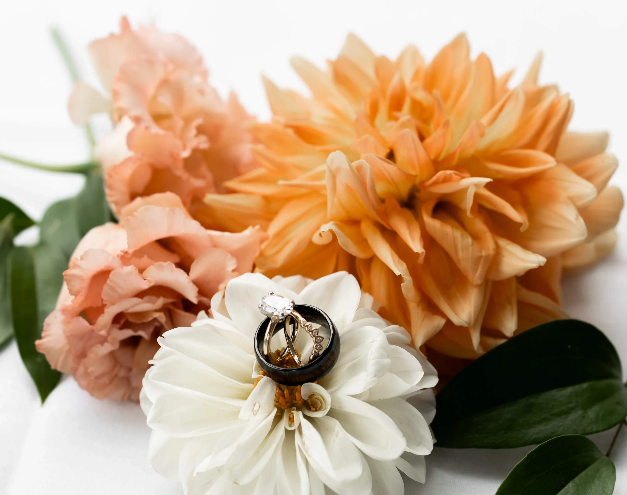 rings sitting on a flower arrangement