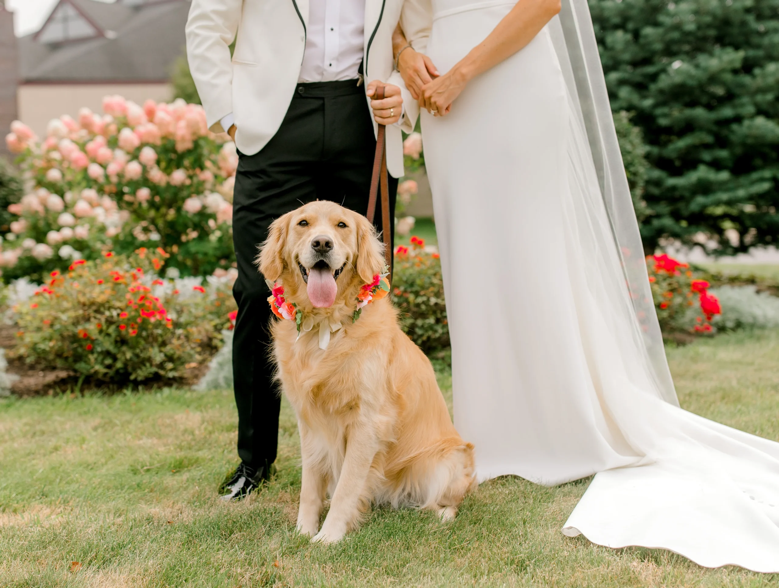 bride and groom holding leash of dog